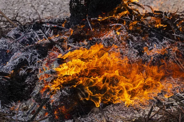 Flammande Eld Brinnande Trädgrenar Hednisk Rit Tillägnad Vårens Ankomst Stor — Stockfoto