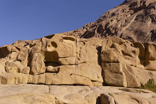 Mısır. Mount Sinai gündoğumu sabah. (Mount Horeb, Gabal Musa, Moses Mount). Hac yeri ve ünlü turistik hedef.