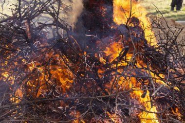 Yanan ateş. Yanan ağaç dalları. Pagan ayin baharın gelişini adanmış. Shrovetide büyük ateşin ortasına. 