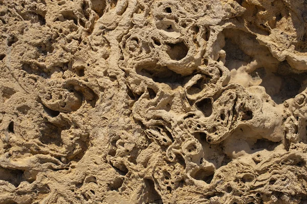 Tekstura Morskie Skały Osadowe Użyte Wykończenia Prace Budownictwie Ściany Kamienia — Zdjęcie stockowe
