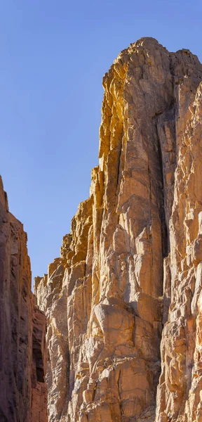 Mısır. Mount Sinai gündoğumu sabah. (Mount Horeb, Gabal Musa, Moses Mount). Hac yeri ve ünlü turistik hedef.