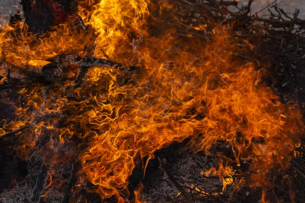 Flammande Eld Brinnande Trädgrenar Hednisk Rit Tillägnad Vårens Ankomst Stor — Stockfoto