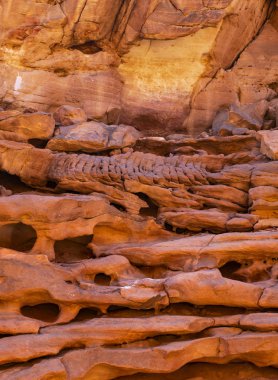 Renkli Kanyon, Sina yarımadasında bir kaya oluşumudur. Nuweiba, Mısır manzarası.
