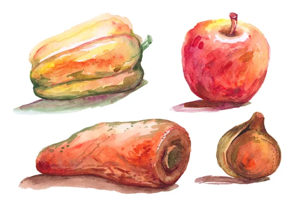 Still Life Painted Watercolor Etude Sketch Made Life Fruits Vegetables — Stock Photo, Image