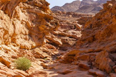 Renkli Kanyon, Sina yarımadasında bir kaya oluşumudur. Nuweiba, Mısır manzarası.