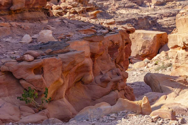 Cañón Color Una Formación Rocosa Península Del Sinaí Lugares Interés — Foto de Stock