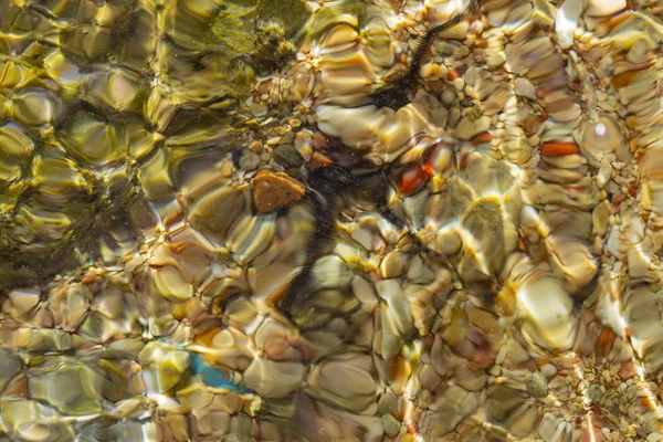 ブラック ブリトル スターオフィウラか蛇の星か海面に波紋 塩水の食感 エジプトの紅海沿岸で休む — ストック写真