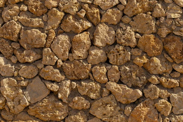 紅海の化石サンゴ 古代の生物は石に変わり — ストック写真