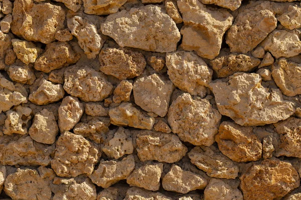 紅海の化石サンゴ 古代の生物は石に変わり — ストック写真