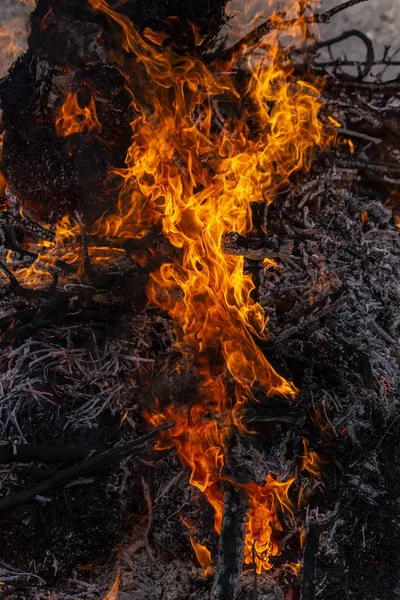 Flaming fire. Burning tree branches. Pagan rite dedicated to the arrival of spring. Big bonfire on Shrovetide. Auto-da-fe, ritual of public punishment, burning at the stake.