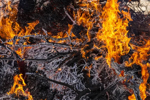 Flaming fire. Burning tree branches. Pagan rite dedicated to the arrival of spring. Big bonfire on Shrovetide. Auto-da-fe, ritual of public punishment, burning at the stake.