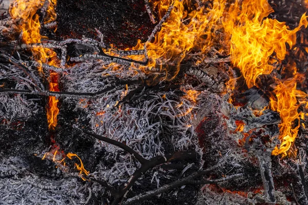 Flaming fire. Burning tree branches. Pagan rite dedicated to the arrival of spring. Big bonfire on Shrovetide. Auto-da-fe, ritual of public punishment, burning at the stake.