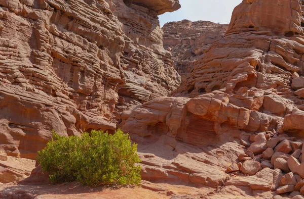 Coloured Canyon Uma Formação Rochosa Península Sinai Visões Nuweiba Egito — Fotografia de Stock