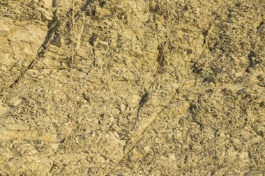 Kretase dönemi katmanlı dağlarında. Paleogeological nesnesi 