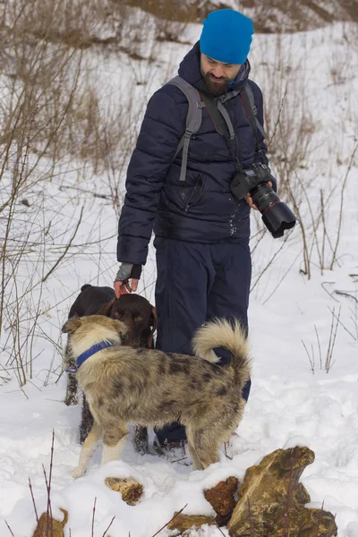 A photographer in the winter takes pictures of dogs. German Wirehaired Pointer.