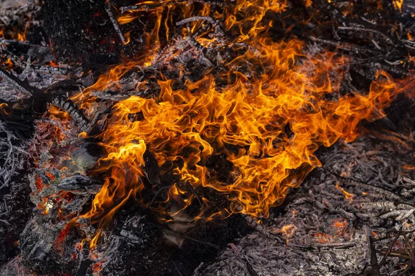 Lángoló Tüzet Égő Faágak Pogány Rítus Szentelt Érkezését Tavasz Nagy — Stock Fotó