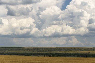 Yağmurdan önce buğday tarlaları. Mavi gökyüzünde kümülatif bulut su manzarası. Güney Avrupa'daki arazi. Dünya gezegenindeki fantastik gökyüzü. Güneş gizlidir. Panorama.