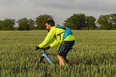 Bisikletçi MTB üzerinde sürmek. Freerider bir buğday tarlası aracılığıyla off-road sürmek. Eğitimdeki atlet. Agresif spor. Aşırı rekreasyon.