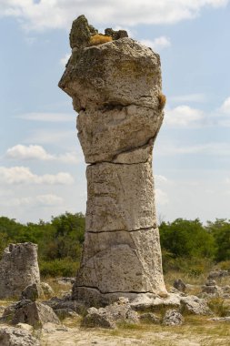 Taş çöl olarak da bilinen, dikilmiş taşlar. Varna eyaletinin ev formları. Bulgaristan 'ın kaya oluşumları. Taş orman.
