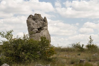Taş çöl olarak da bilinen, dikilmiş taşlar. Varna eyaletinin ev formları. Bulgaristan 'ın kaya oluşumları. Taş orman.