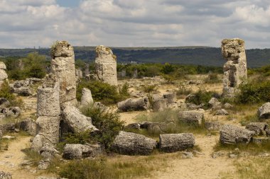 Taş çöl olarak da bilinen, dikilmiş taşlar. Varna eyaletinin ev formları. Bulgaristan 'ın kaya oluşumları. Taş orman.