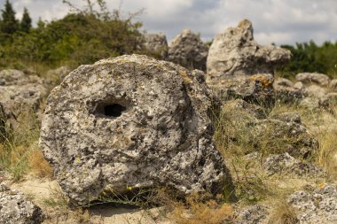 Taş çöl olarak da bilinen, dikilmiş taşlar. Varna eyaletinin ev formları. Bulgaristan 'ın kaya oluşumları. Taş orman.