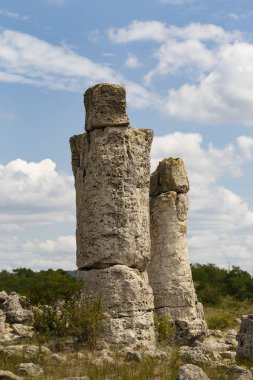 Taş çöl olarak da bilinen, dikilmiş taşlar. Varna eyaletinin ev formları. Bulgaristan 'ın kaya oluşumları. Taş orman.