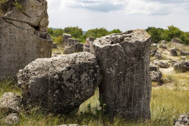 Taş çöl olarak da bilinen, dikilmiş taşlar. Varna eyaletinin ev formları. Bulgaristan 'ın kaya oluşumları. Taş orman.