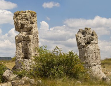 Taş çöl olarak da bilinen, dikilmiş taşlar. Varna eyaletinin ev formları. Bulgaristan 'ın kaya oluşumları. Taş orman.