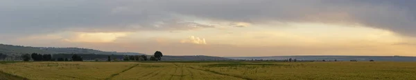 Лідін Грозові Хмари Покрили Захід Сонця Чумацький Хмарний Пейзаж Синьому — стокове фото