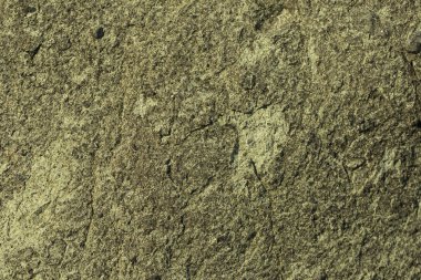 Evin duvarı. Beton kaplama. Çimento levha. Renkli taş yüzey.