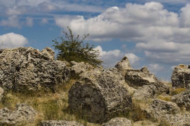 Taş çöl olarak da bilinen, dikilmiş taşlar. Varna eyaletinin ev formları. Bulgaristan 'ın kaya oluşumları. Taş orman.