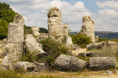 Taş çöl olarak da bilinen, dikilmiş taşlar. Varna eyaletinin ev formları. Bulgaristan 'ın kaya oluşumları. Taş orman.