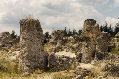 Taş çöl olarak da bilinen, dikilmiş taşlar. Varna eyaletinin ev formları. Bulgaristan 'ın kaya oluşumları. Taş orman.