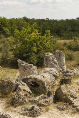 Taş çöl olarak da bilinen, dikilmiş taşlar. Varna eyaletinin ev formları. Bulgaristan 'ın kaya oluşumları. Taş orman.