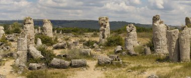 Taş çöl olarak da bilinen, dikilmiş taşlar. Varna eyaletinin ev formları. Bulgaristan 'ın kaya oluşumları. Taş orman.