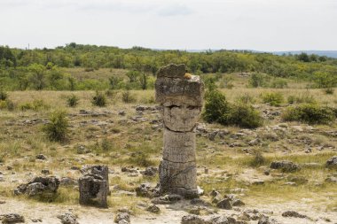 Taş çöl olarak da bilinen, dikilmiş taşlar. Varna eyaletinin ev formları. Bulgaristan 'ın kaya oluşumları. Taş orman.