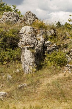 Taş çöl olarak da bilinen, dikilmiş taşlar. Varna eyaletinin ev formları. Bulgaristan 'ın kaya oluşumları. Taş orman.