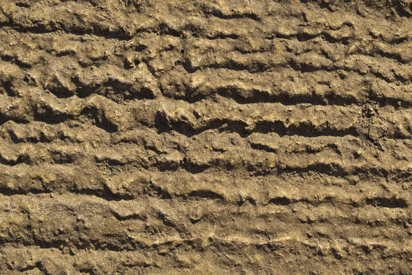 Wall of the house. Concrete coating. Cement slab.