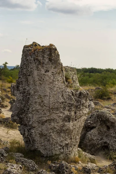 Geplant Stenen Ook Bekend Als Stenen Woestijn Land Vormen Van — Stockfoto