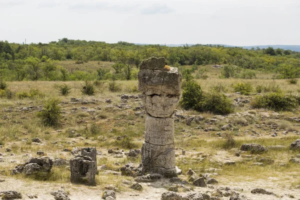 Piedras Plantadas También Conocido Como Desierto Piedra Landforms Provincia Varna — Foto de Stock