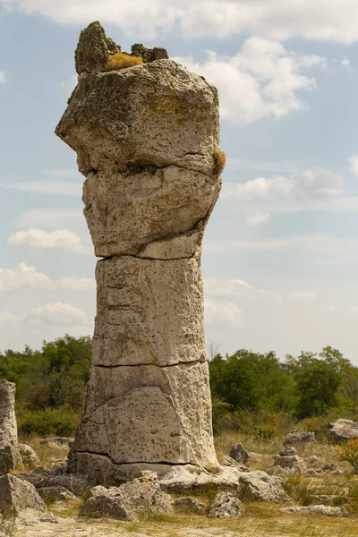 Piedras Plantadas También Conocido Como Desierto Piedra Landforms Provincia Varna — Foto de Stock