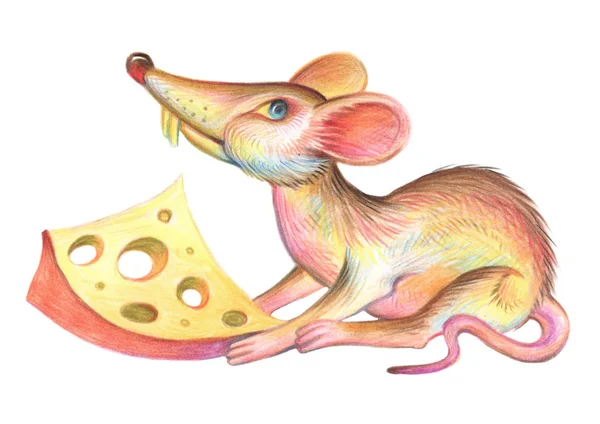 Bleistiftzeichnung Einer Ratte Illustration Für Kinder Bild Von Tieren Mit — Stockfoto