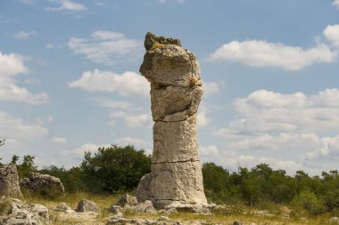 Taş çöl olarak da bilinen, dikilmiş taşlar. Varna eyaletinin ev formları. Bulgaristan 'ın kaya oluşumları. Taş orman.