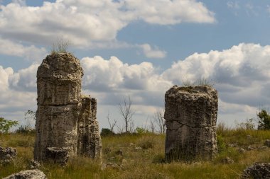 Taş çöl olarak da bilinen, dikilmiş taşlar. Varna eyaletinin ev formları. Bulgaristan 'ın kaya oluşumları. Taş orman.