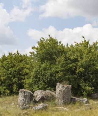 Taş çöl olarak da bilinen, dikilmiş taşlar. Varna eyaletinin ev formları. Bulgaristan 'ın kaya oluşumları. Taş orman.