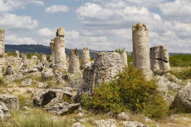 Taş çöl olarak da bilinen, dikilmiş taşlar. Varna eyaletinin ev formları. Bulgaristan 'ın kaya oluşumları. Taş orman.