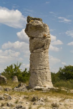 Taş çöl olarak da bilinen, dikilmiş taşlar. Varna eyaletinin ev formları. Bulgaristan 'ın kaya oluşumları. Taş orman.