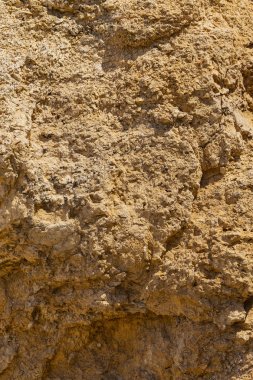 Kızıl Deniz 'in fosil mercanları. Antik yaratıklar, taşa döndüler..