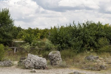 Taş çöl olarak da bilinen, dikilmiş taşlar. Varna eyaletinin ev formları. Bulgaristan 'ın kaya oluşumları. Taş orman.